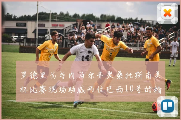 罗德里戈与内马尔齐聚桑托斯南美杯比赛现场助威两位巴西10号的精彩时刻